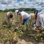 Teñido artesanal con tintes naturales